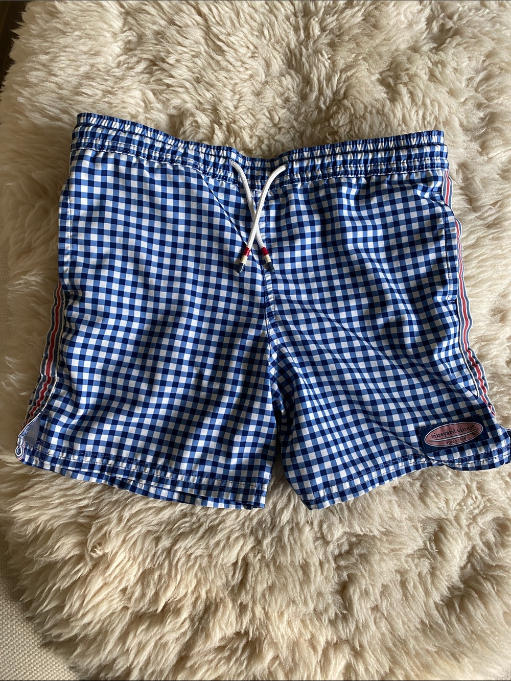 Vineyard Vines Blue and White Gingham Men’s Swim Trunks